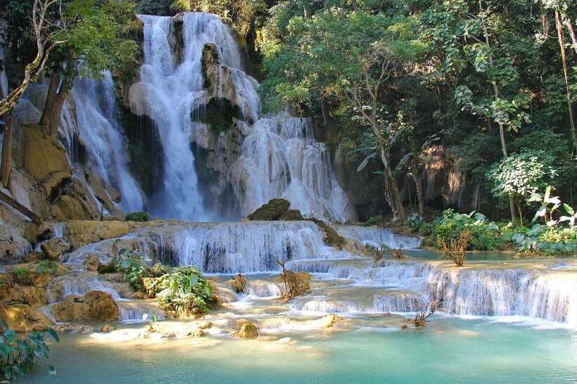 Luang Prabang: Organic Farm Experience & Hike to Kuang si - The cooking class: turning Lao ingredients into a four-course lunch