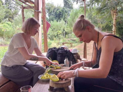 Luang Prabang: Organic Farm Experience & Hike to Kuang si - Getting to Ban Pak Si by tuk-tuk and reading the countryside