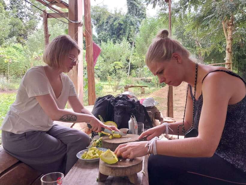 Luang Prabang: Organic Farm Experience & Hike to Kuang si - Getting to Ban Pak Si by tuk-tuk and reading the countryside