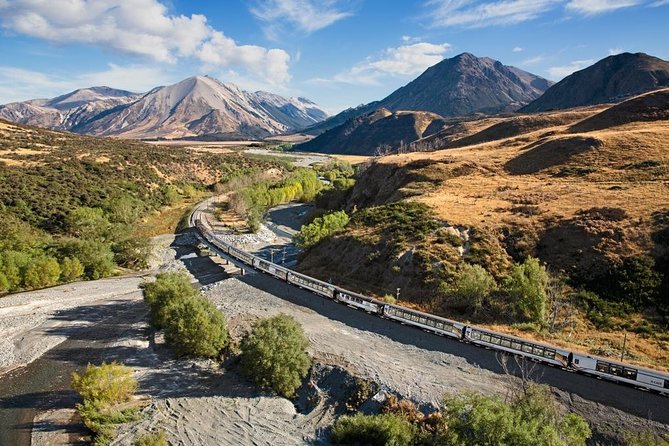 Lyttelton Cruise Excursions: Christchurch Sightseeing with Sheep Farm - Riverside Market lunch break: fuel for the farm portion