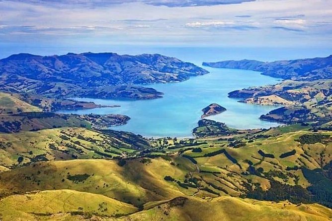 Lyttelton Cruise Excursions: Christchurch Sightseeing with Sheep Farm - Toby Hill Farm: sheep-dog herding, shearing, and afternoon tea