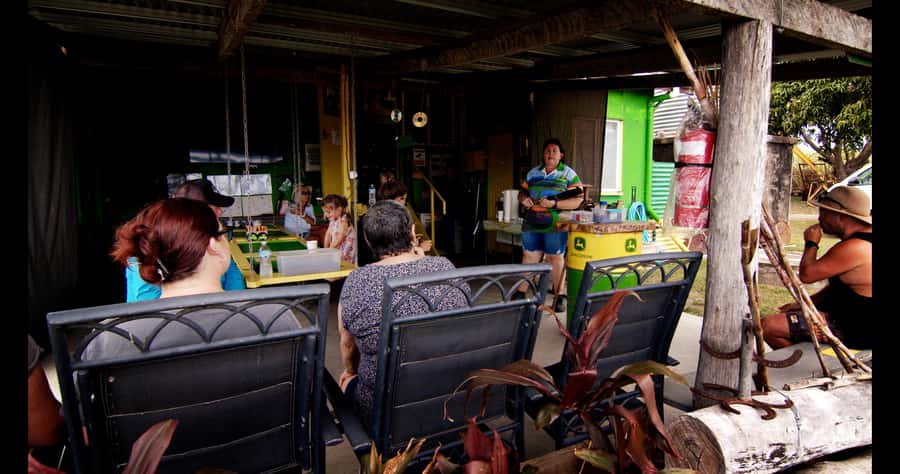 Mackay: 3 Hour Sugarcane Farm Tour - Key things you’ll notice on this Mackay sugarcane farm tour
