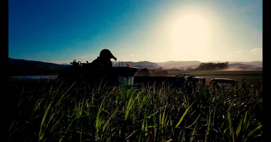 Mackay: 3 Hour Sugarcane Farm Tour - Hands-on sugarcane juicing and tasting: the crop becomes real