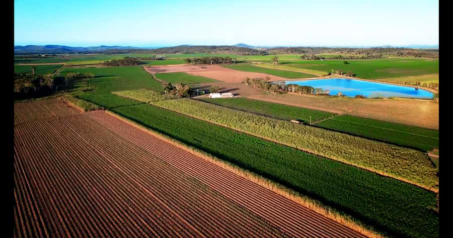 Mackay: 3 Hour Sugarcane Farm Tour - Used and current machinery: the practical side of farming