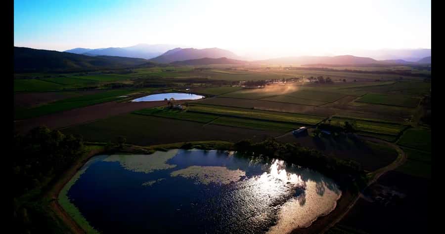Mackay: 3 Hour Sugarcane Farm Tour - What to bring and how to plan your day