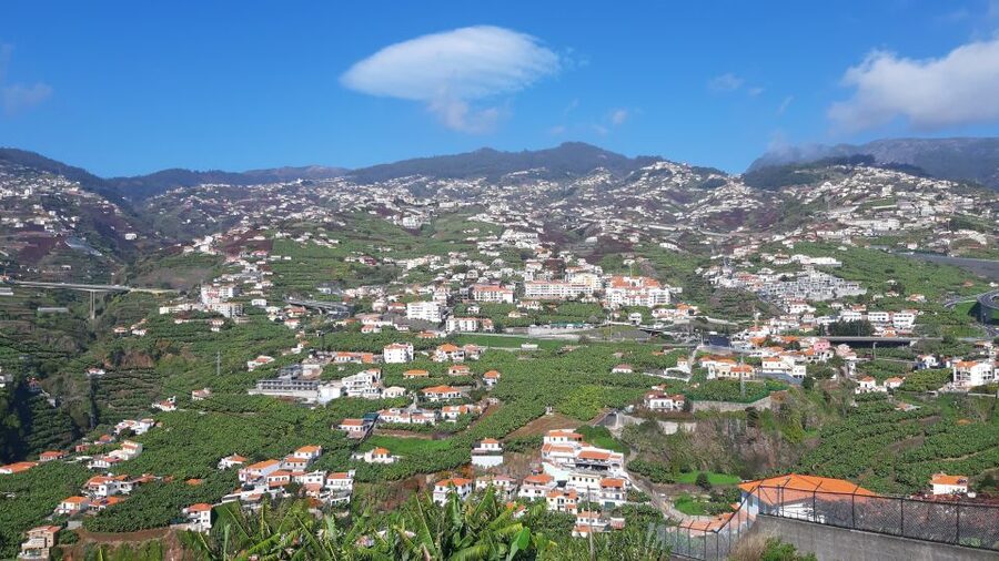 Madeira: Private Banana Farm Tour with Pickup - Who this tour fits best (and who should rethink it)