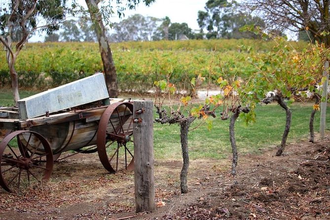 Maggie Beer Farm - Barossa Valley Regional Tour - Price and what you really get for $197.24 per person