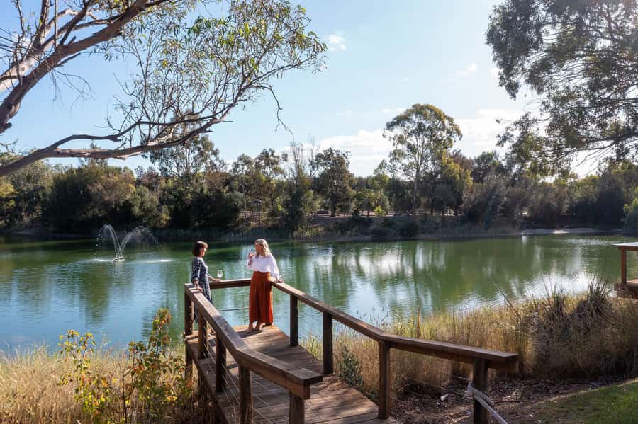Maggie Beer's Farm: Cooking Demonstration with Lunch & Wine - Farm Shop tasting room: wine or Maggie’s Orchard Gin
