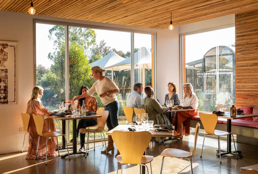 Maggie Beer's Farm: Cooking Demonstration with Lunch & Wine - The studio kitchen cooking demonstration (about 45 minutes)