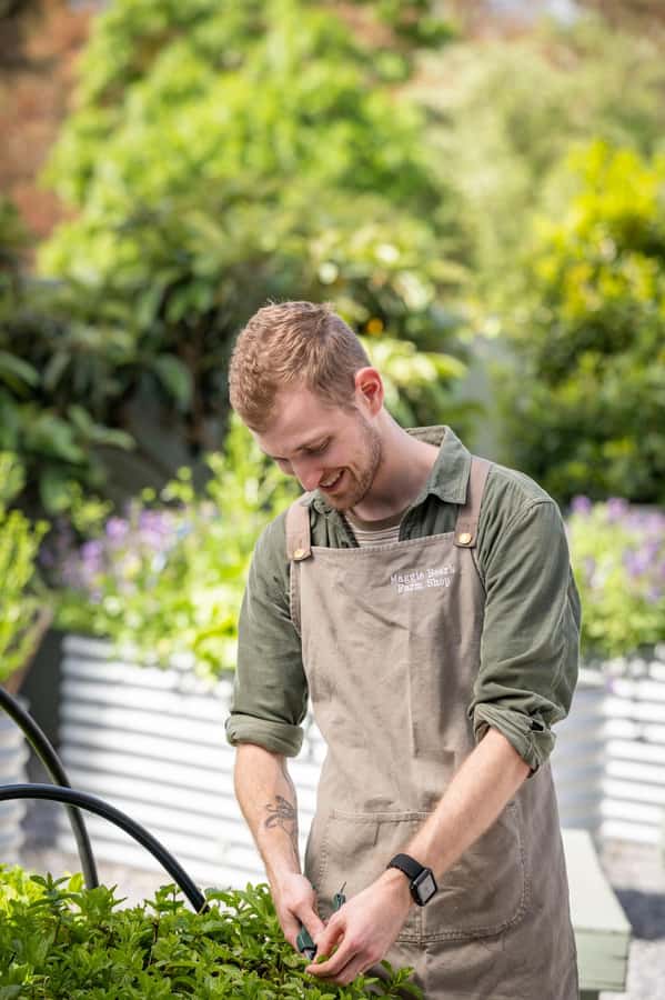 Maggie Beer's Farm Hands-on Cooking School and Lunch - The Demonstration and Your Included Glass