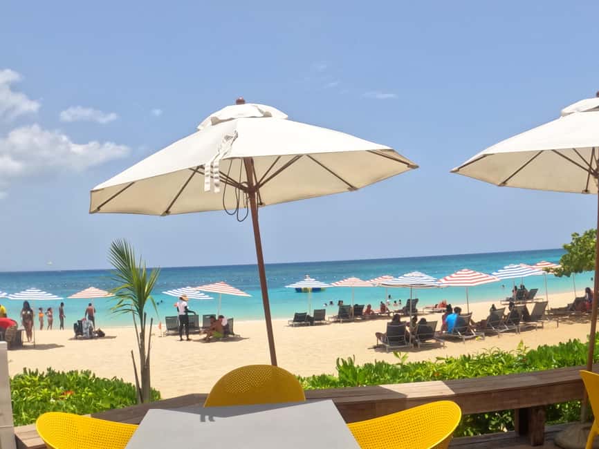 Marijuana Farm, Bamboo Rafting and Doctors Cave Beach Tour - A 200-acre former banana estate turned into garden and river experience