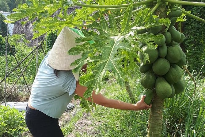 Market to Farm to Table Cooking Class in saigon - Key takeaways before you book