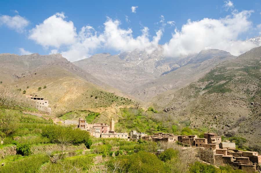 Marrakech: Anima Garden, Saffron Farm and Ourika Valley Trip - Logistics that matter: timing, language, and comfort