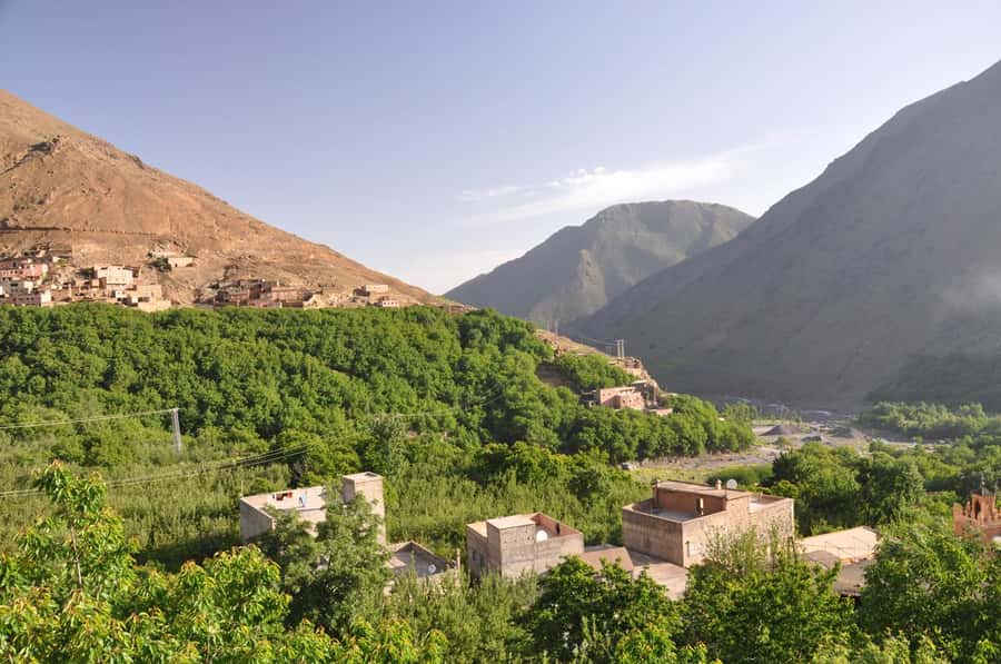 Marrakech: Anima Garden, Saffron Farm and Ourika Valley Trip - The Berber Argán Oil Co-operative: Optional but Worth the Pause