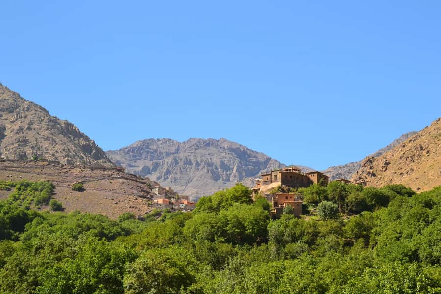 Marrakech: Anima Garden, Saffron Farm and Ourika Valley Trip - What You Should Know About Costs and Value