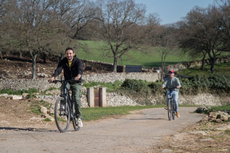 Martina Franca: E-bike farm tour & cheese tasting - Cow farm and dairy stop: why the cheese tasting feels natural