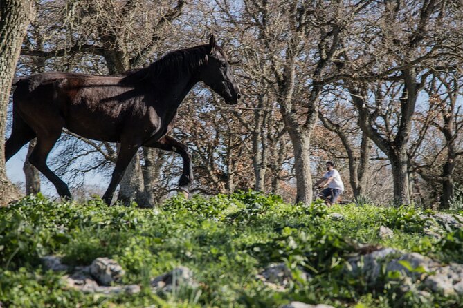 Martina Franca e-Bike tour . Visit a breeding and a dairy farm - Price and value: is $111.13 worth a half-day farm ride?