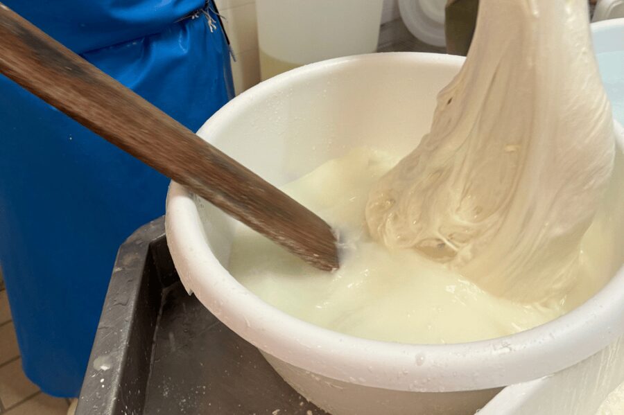 Martina Franca: Mozzarella and Pasta Workshop with Farm Tour - A working farm day in Martina Franca: cheese and pasta with real context