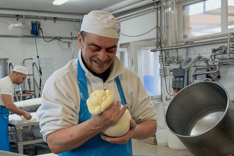 Martina Franca: Mozzarella and Pasta Workshop with Farm Tour - Start at the breeding farm: animals and sustainable routines