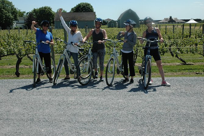Mattituck Bike Wine Country and Fruit Orchard Tour - Price and value: what $141.99 covers and where costs may appear
