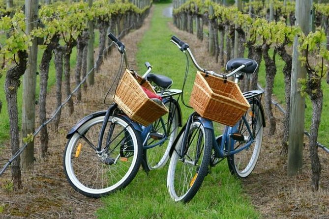 Mattituck New York Guided Farm and Wine Country Bike Tour - North Fork on Two Wheels: Why This Tour Feels So Good