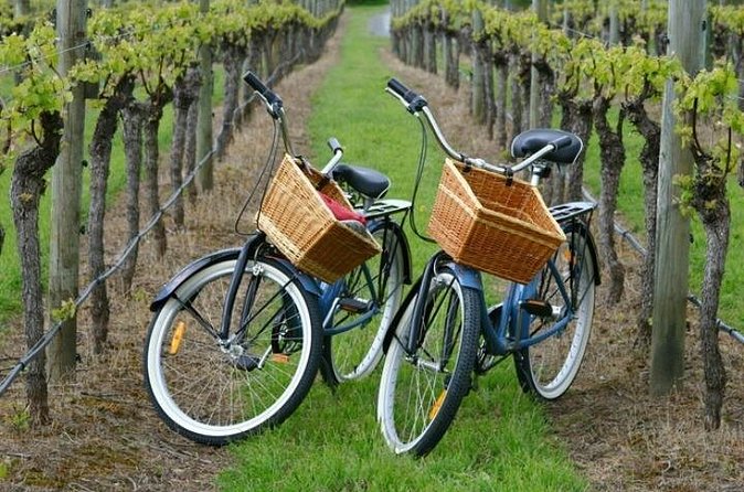 Mattituck New York Guided Farm and Wine Country Bike Tour - The Photo System That Actually Saves Work
