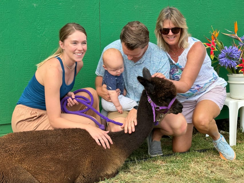 Maui: Alpaca Farm Visit with Hands-On Activities - Angora Bunny Village: Soft Encounters and a Fiber-Related Bonus