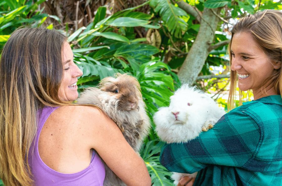 Maui: Alpaca Farm Visit with Hands-On Activities - Who This Tour Suits Best (and Who Might Find It Too Short)