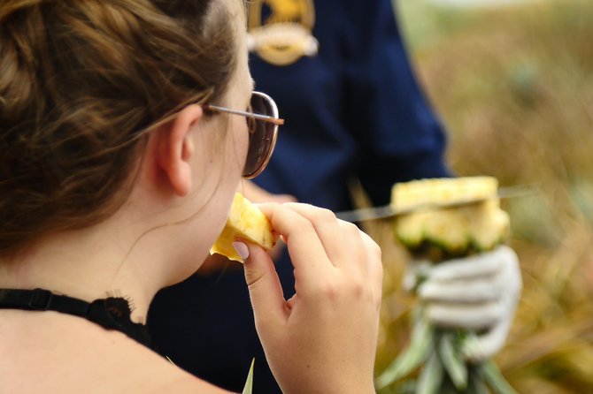 Maui Pineapple Farm Tour in Haliimaile - The Airport-Ready Pineapple: Your Best Souvenir Plan