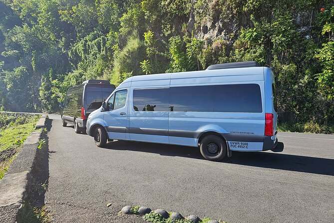 Maui: Road to Hana Adventure with Farm to Table Lunch - Ke‘anae Point & the Lava Finger: Taro Fields and Banana Bread