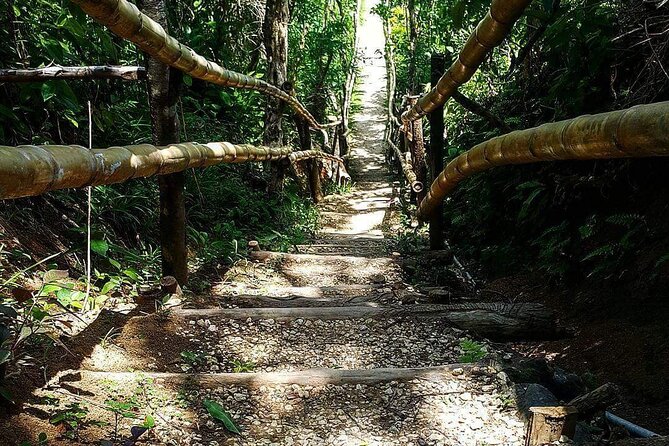 Mayfield Falls, Blue Hole & Rick's Café Tours/Weed Farm option - The Big Picture: Why This Montego Bay Day Tour Works