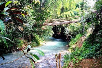Mayfield Falls, Blue Hole & Rick's Café Tours/Weed Farm option - Price and What’s Actually Included (So You Can Judge the Value)