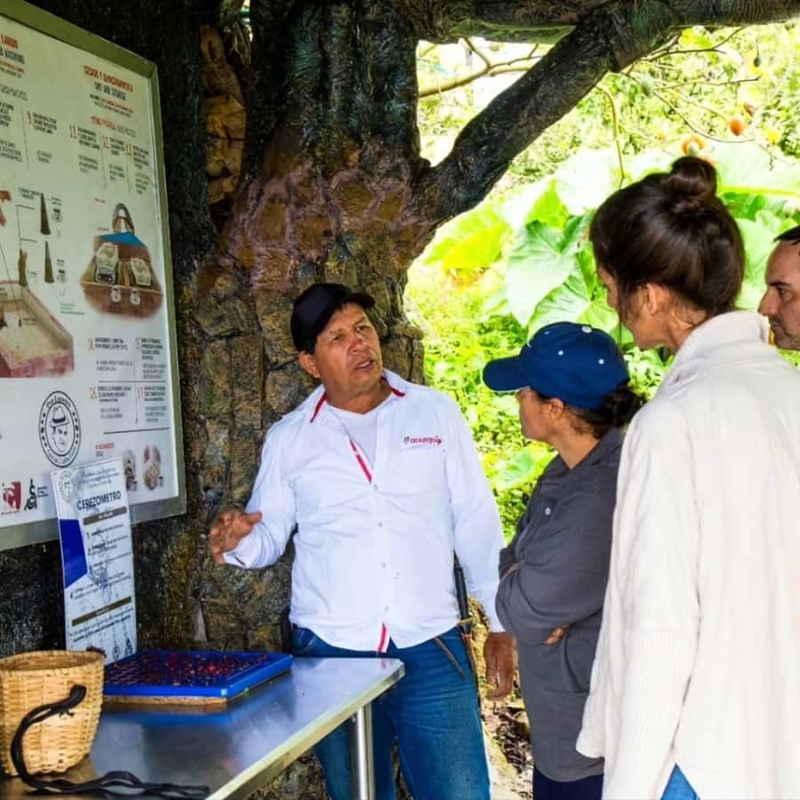 Medellin: Coffee Farm and Barista Workshop Experience - From Arví Metro to Don Leandro’s Coffee Farm