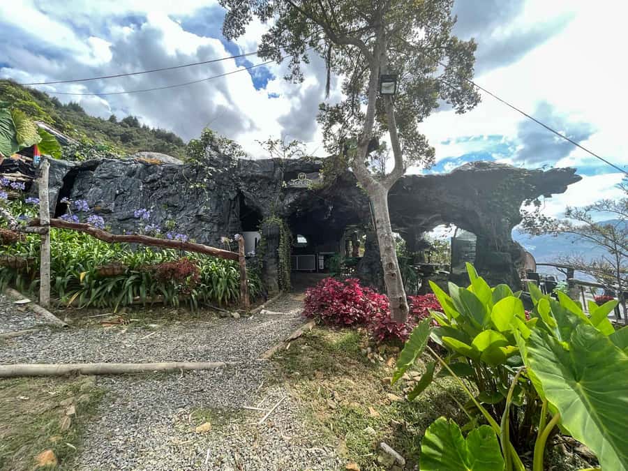 Medellin: Coffee Farm and Barista Workshop Experience - Who This Coffee Farm and Barista Workshop Suits Best