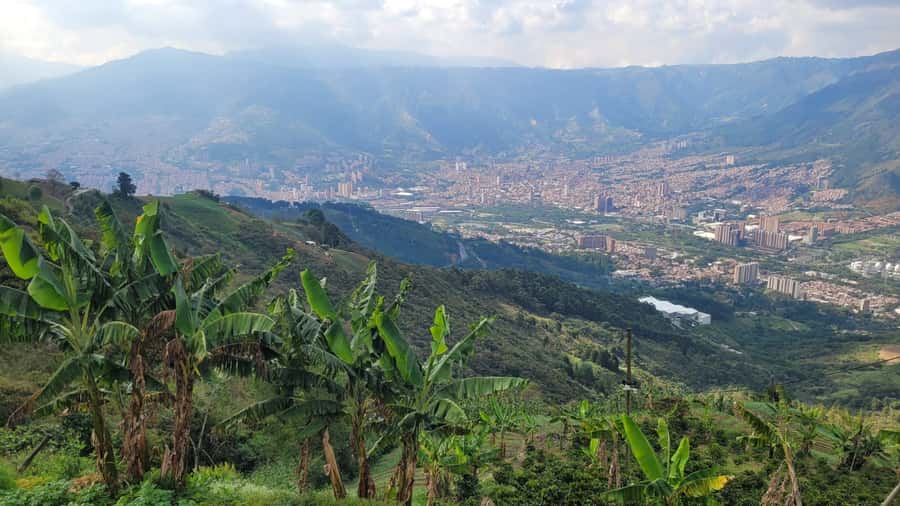 Medellin: Coffee Farm Tour & Spa with Overnight Glamping - Key Highlights You’ll Actually Feel