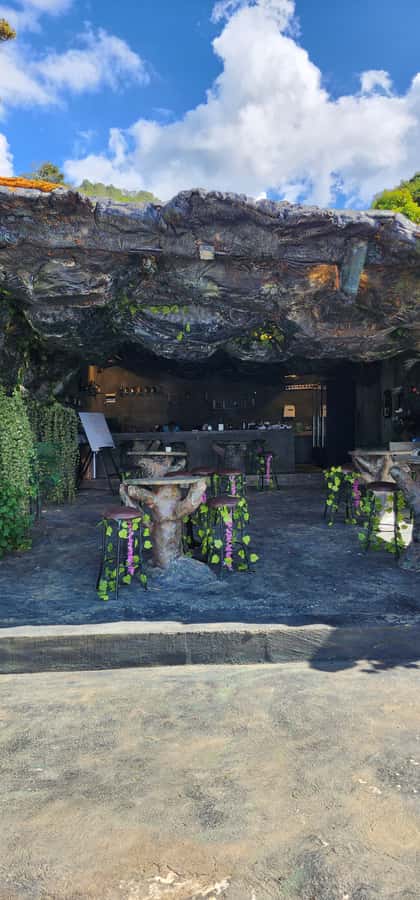 Medellin: Coffee Farm Tour & Spa with Overnight Glamping - Morning Reset: Traditional Colombian Breakfast Before the Coffee Work Begins