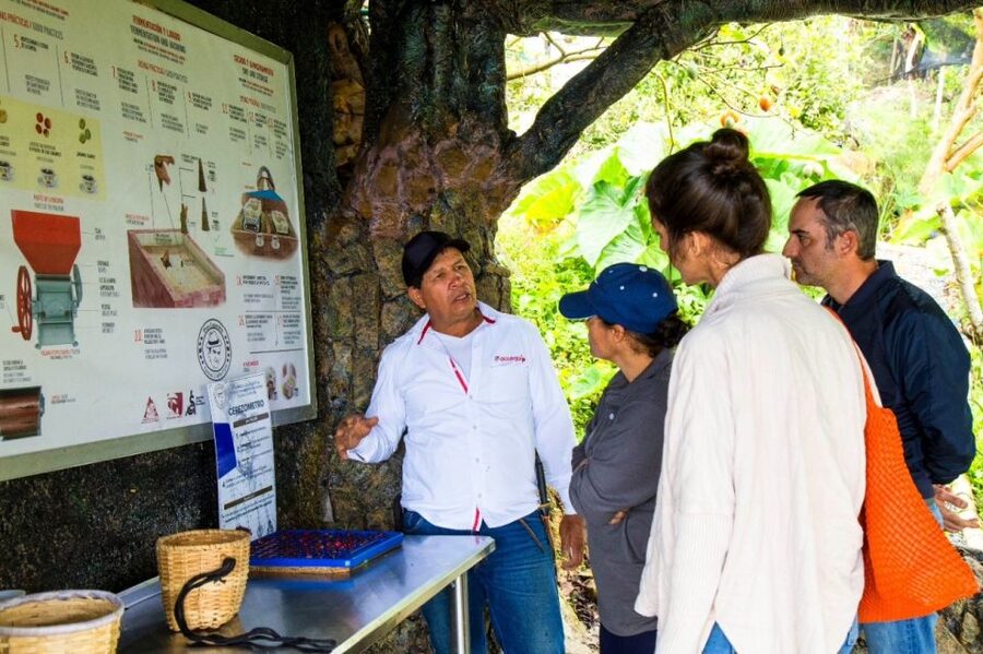 Medellin: Coffee Farm Tour & Spa with Overnight Glamping - Coffee Wellness Spa: Oils, Scrub, Facial Mask, Deep Massage