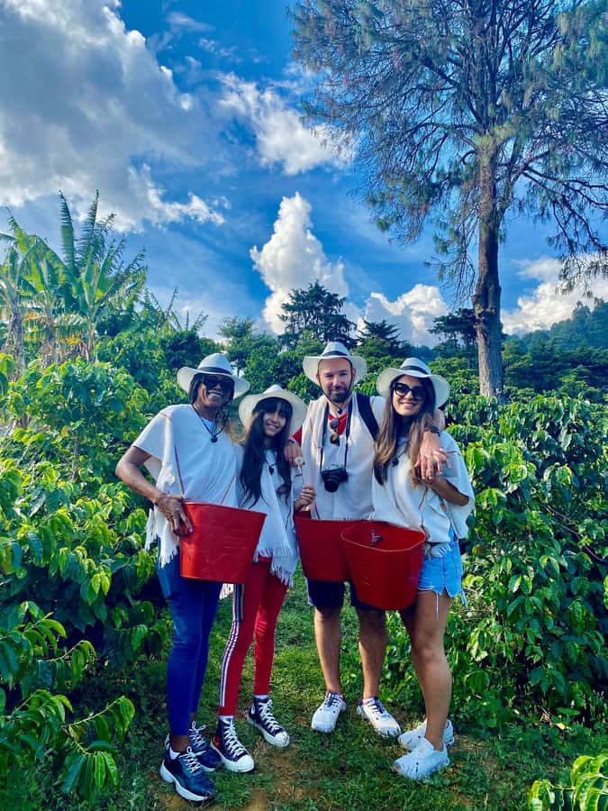Medellín Coffee Farm Tour with Trolley and Cable Car Ride - The electric trolley and cable car ride: views plus a Medellín lesson