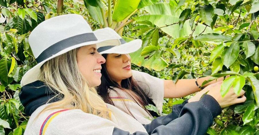 Medellín Coffee Farm Tour with Trolley and Cable Car Ride - Harvesting coffee berries: hands-on, physical, and oddly satisfying