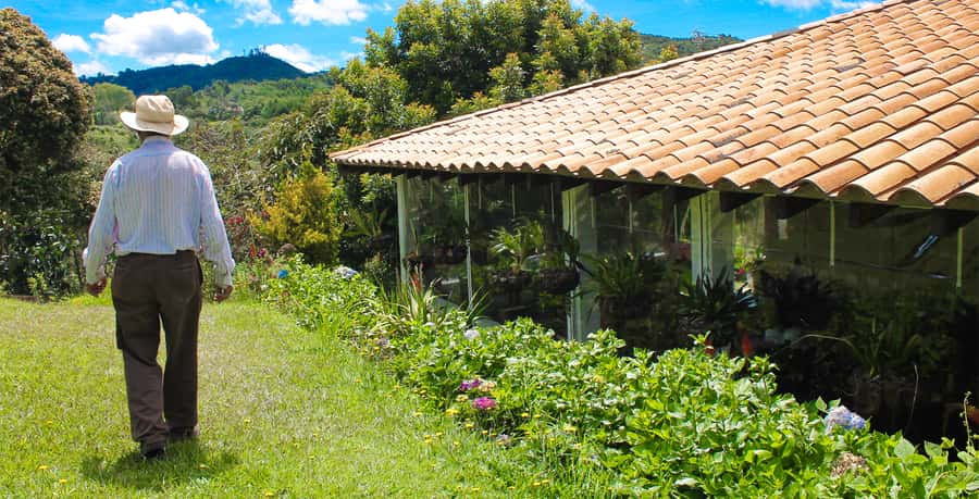 Medellín: Flower Farm & Silletero History Tour - Silleteros and the Flower Festival: the story behind the flowers
