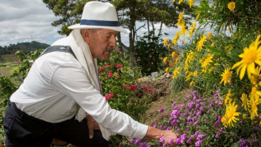 Medellín: Flower Farm & Silletero History Tour - The farm visit: where the tradition turns from story into plants