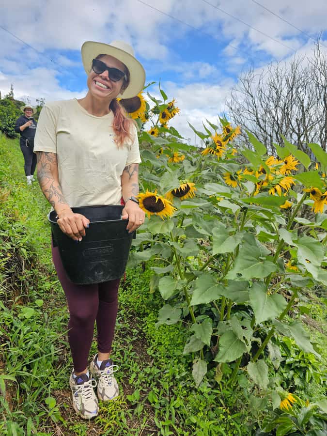 Medellin: Guatape, El Peñol Coffee Farm Private Tour & Fruit - What to Bring and How to Prep for the Day