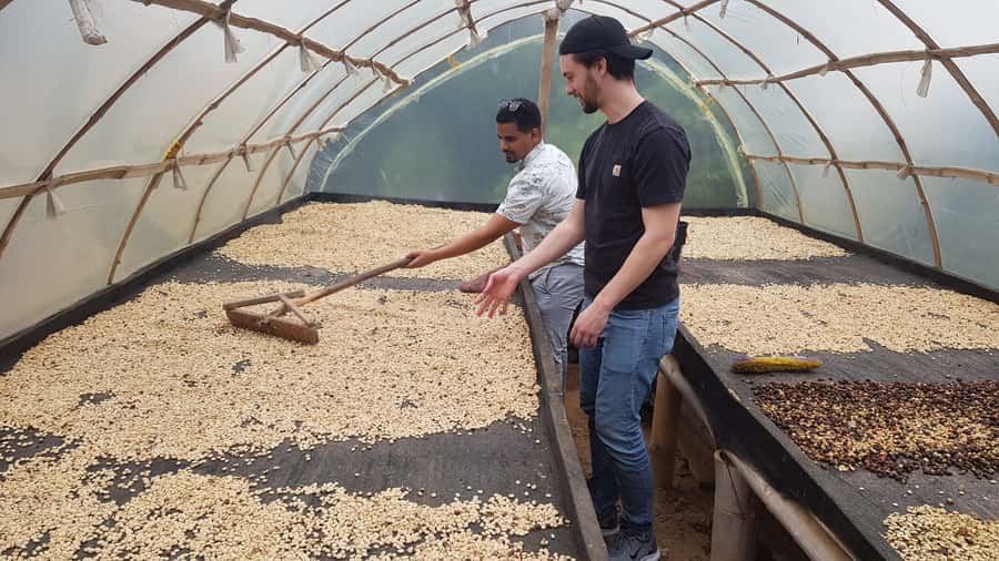 Medellin: Guatape, El Peñol Coffee Farm Private Tour & Fruit - From Medellín Out to Marinilla: Fruit First, Then Coffee