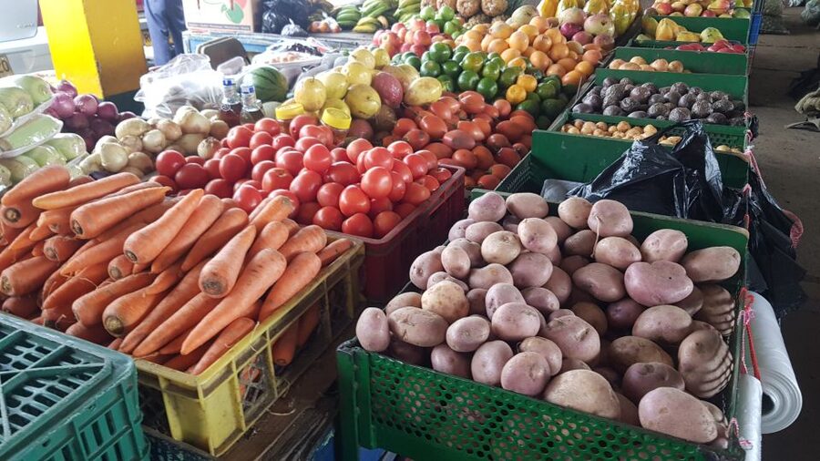 Medellin: Guatape, El Peñol Coffee Farm Private Tour & Fruit - Guatapé Walking Tour: Colorful Streets With a Local Guide’s Rhythm