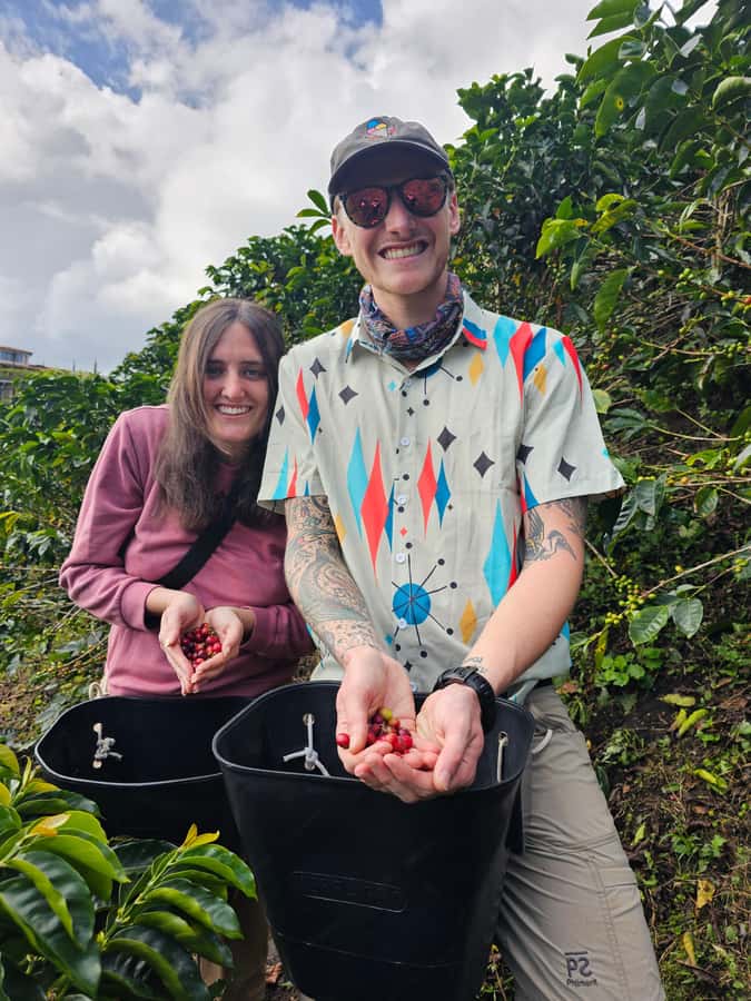 Medellin: Guatape, El Peñol Coffee Farm Private Tour & Fruit - Lunch in Guatapé: Plan Your Next Bite (It’s Not Included)