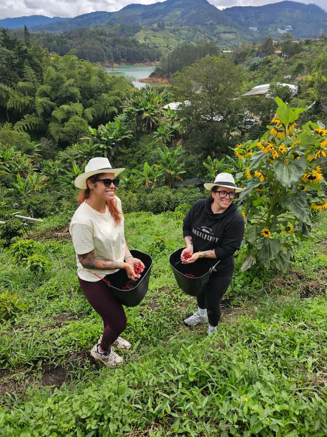 Medellin: Guatape, El Peñol Coffee Farm Private Tour & Fruit - Price and Value: Is $169 per Person Worth It?