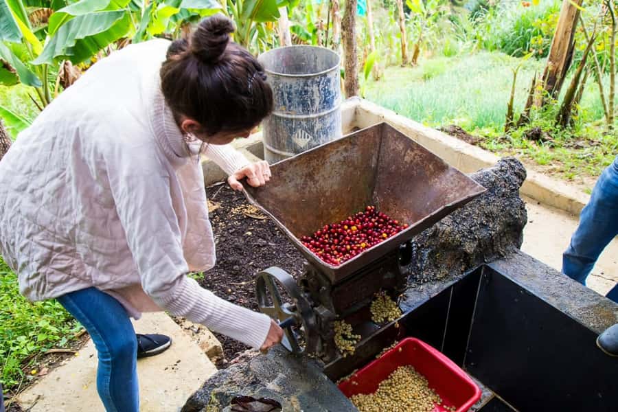 Medellin: Horseback Riding Coffee Farm Tour with Coffee Spa - FAQ
