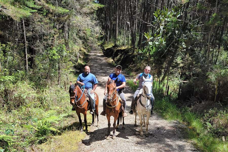 Medellin: Horseback Riding Coffee Farm Tour with Coffee Spa - Meeting at Arvi Metro Cable Station: the start of your mountain day