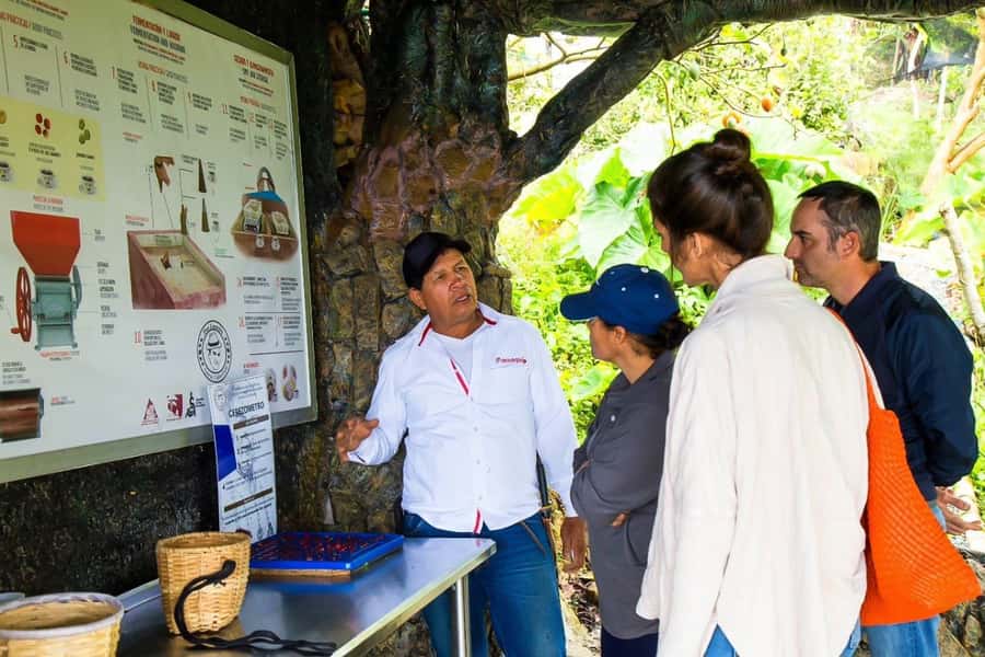 Medellin: Horseback Riding Coffee Farm Tour with Coffee Spa - The coffee “spa day” at Don Leandro: steam room, massage, and the reset you came for