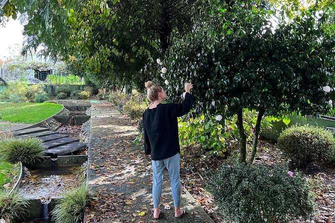 Meditation Experience at a Lovely Farm in Porto - Entering the farm in São Mamede de Infesta